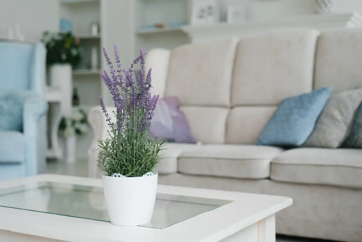 Why 5 Seconds Can Decide the Future of Your Naperville Rental Listing